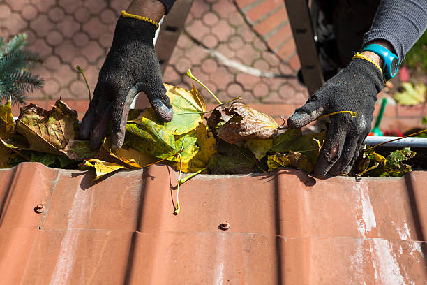 Gutter cleaning